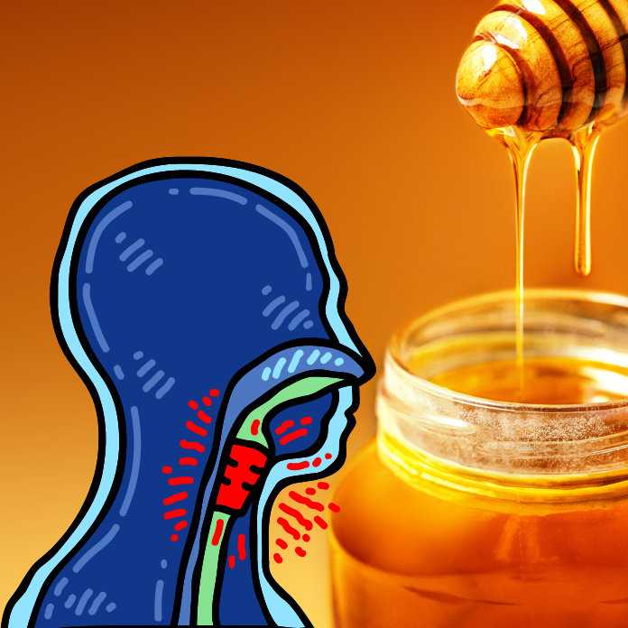 The Benefits Of Honey For Sore Throat Relief