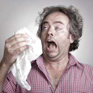 An image of a man with seasonal allergies preparing to blow his nose into a tissue