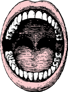A cartoon image of a human mouth teeth and tongue