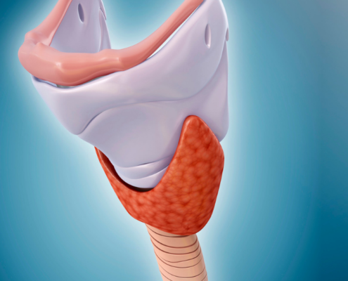 throat anatomy image